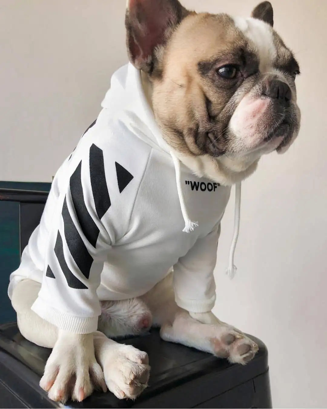 Fashion Dog Hoodie Winter Pet Dog Clothes For Dogs Coat Jacket Cotton Ropa Perro French Bulldog Clothing For Dogs Pets Clothing
