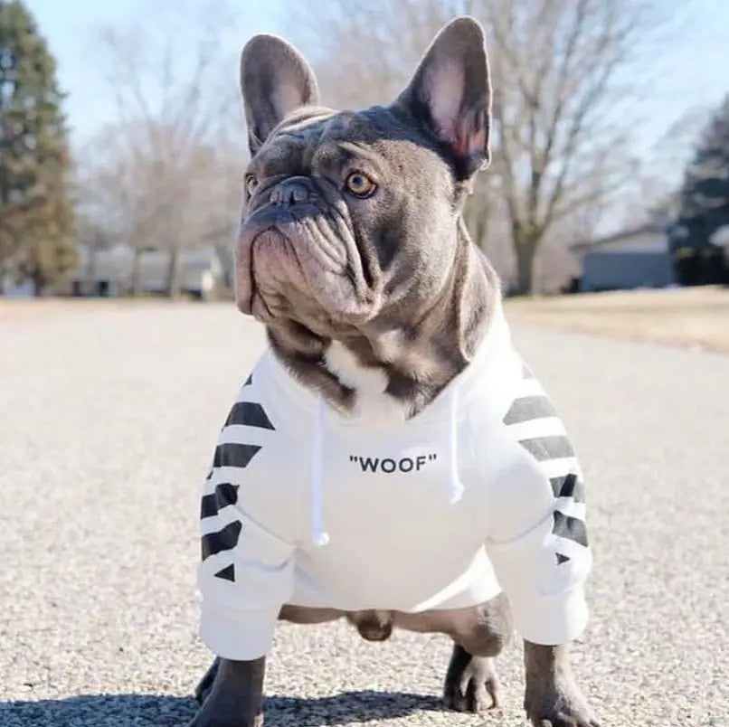 Fashion Dog Hoodie Winter Pet Dog Clothes For Dogs Coat Jacket Cotton Ropa Perro French Bulldog Clothing For Dogs Pets Clothing