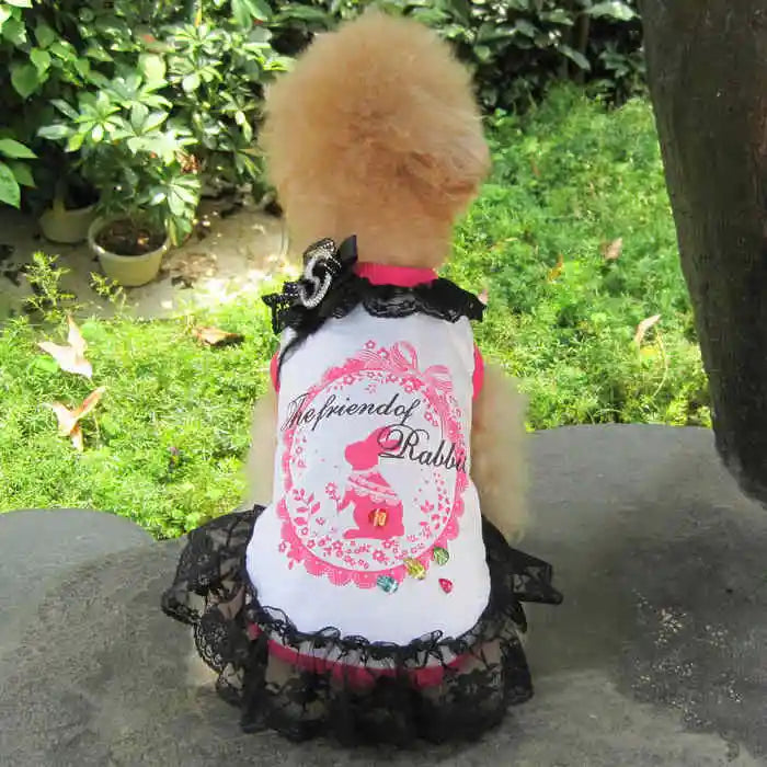 Luxury & Cute Pink Lace Pet Dress for Spring Summer Polyester Plaid Skirt in Simple Style for Dogs