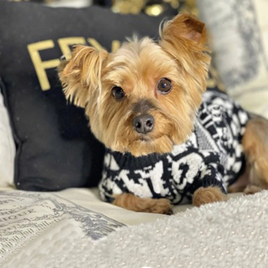 Dog Sweater Luxury Designer Warmth Soft Comfortable Dog Clothes French Bulldog Schnauzer Teddy  Wholesale Dropshipping CH3018