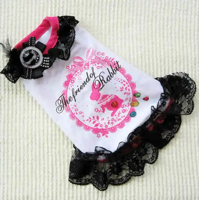 Luxury & Cute Pink Lace Pet Dress for Spring Summer Polyester Plaid Skirt in Simple Style for Dogs