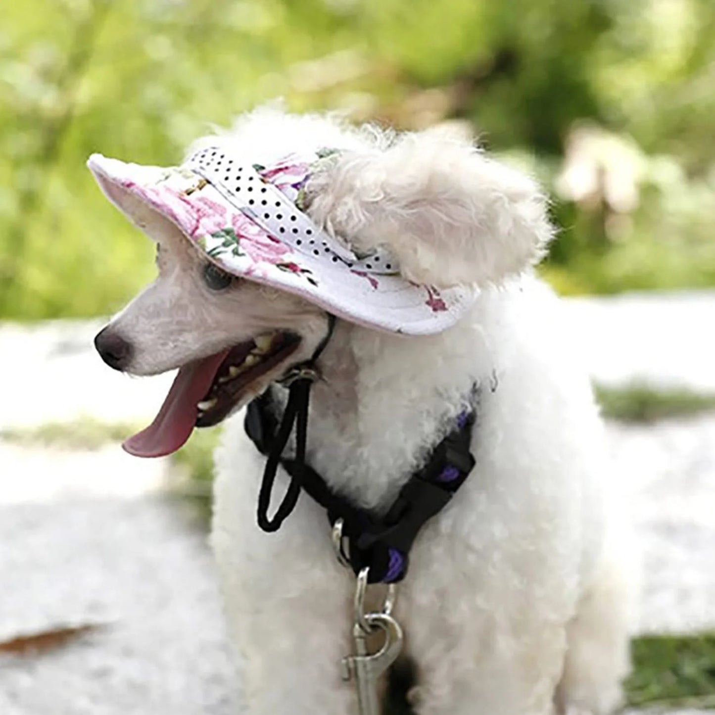 Dog Hat Pet Hats Round DogHat Outdoor Breathable Sun Protection Cap Mesh Sun Cap With Adjustable Chin Strap For Dogs Cats