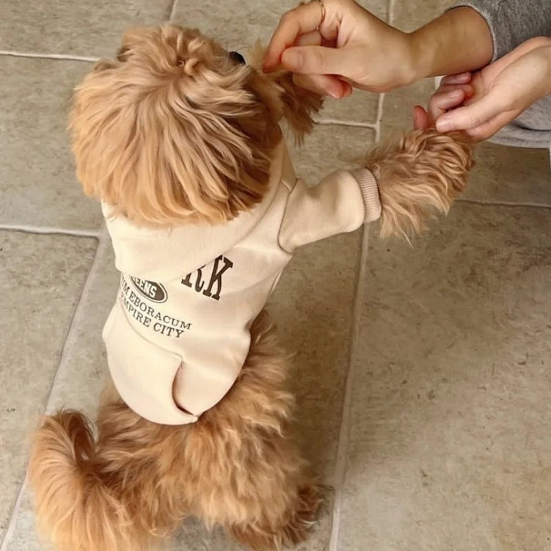 Autumn Warm Dog Hoodies Soft Plush Dog Clothes Letter Print Puppy Sweatshirts Fashion Cat Pullovers Pet Hoodies Poodle Outfits