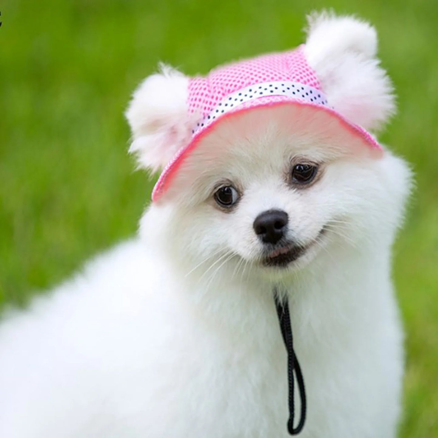 Dog Hat Pet Hats Round DogHat Outdoor Breathable Sun Protection Cap Mesh Sun Cap With Adjustable Chin Strap For Dogs Cats