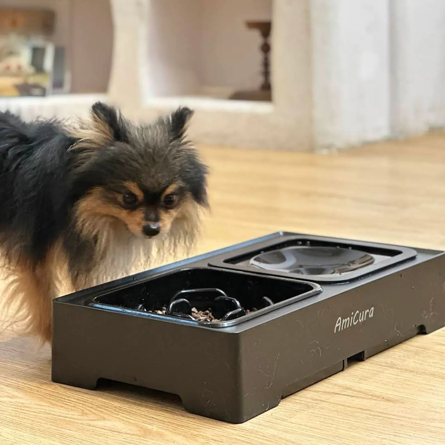 Amicura Raised Dog Bowl 2-in-1 Leak-Proof Foldable Water Bowl Anti-Gulping Bowl 4 Height-Adjustable Raised for Dogs and Cats