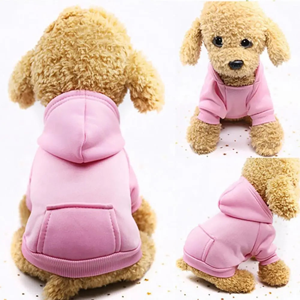 Puppy Pet Hooded Sweatshirt Autumn Winter Two-legged Pocket Cat Dog Clothes