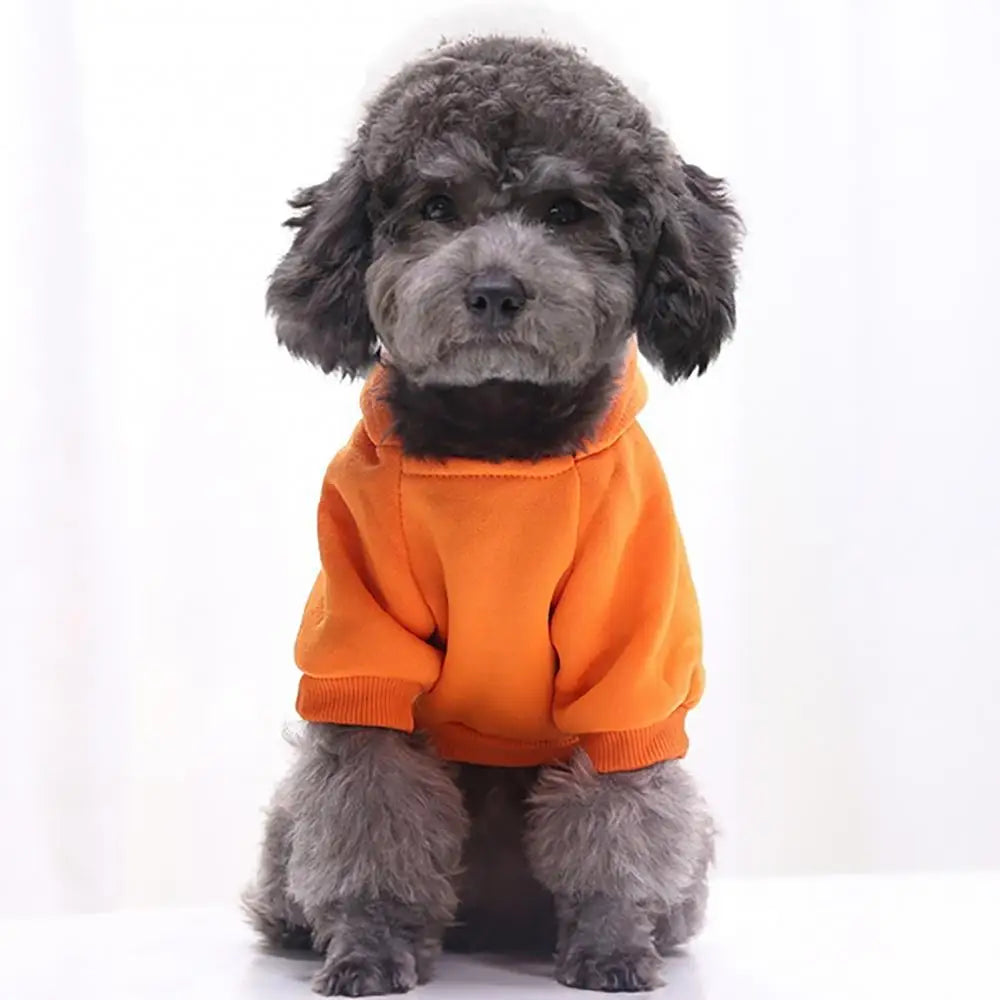 Puppy Pet Hooded Sweatshirt Autumn Winter Two-legged Pocket Cat Dog Clothes