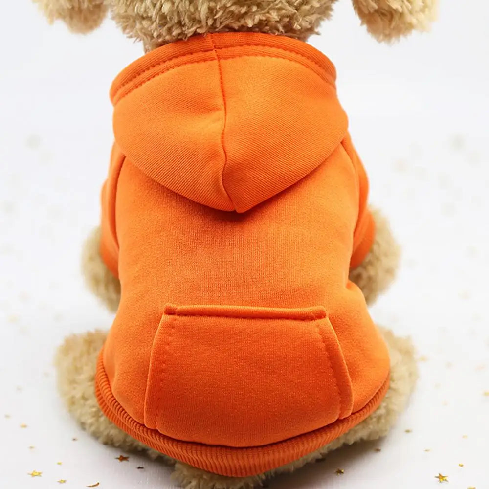 Puppy Pet Hooded Sweatshirt Autumn Winter Two-legged Pocket Cat Dog Clothes
