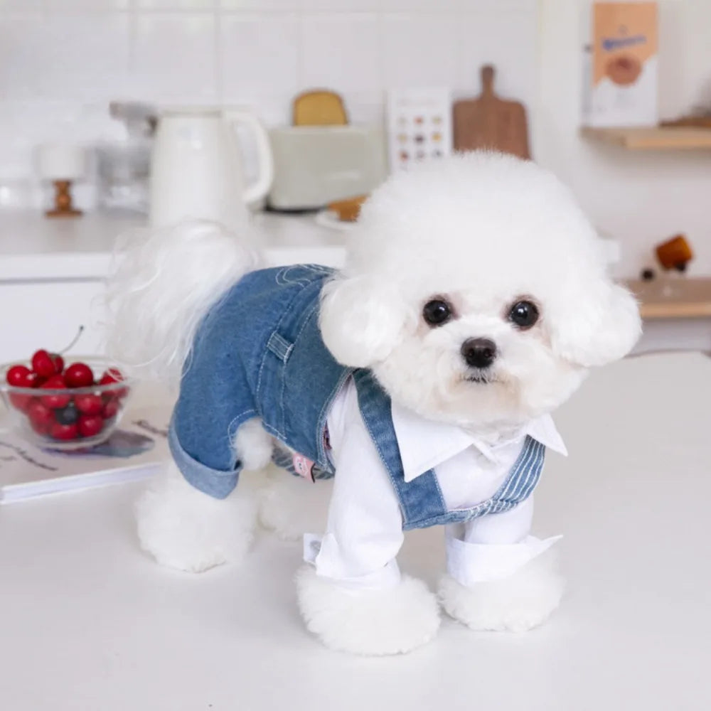 Pet Autumn Winter Striped Patchwork Denim Straps Dog Pants Cat Clothing Teddy Dog Clothing Pets Puppy Clothes Boy Dog Clothes