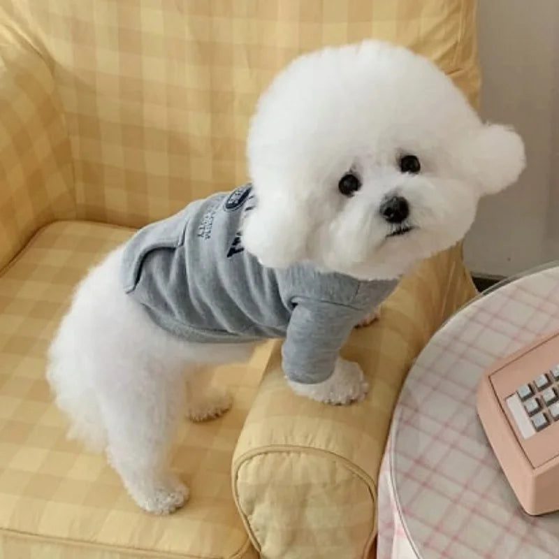 Autumn Warm Dog Hoodies Soft Plush Dog Clothes Letter Print Puppy Sweatshirts Fashion Cat Pullovers Pet Hoodies Poodle Outfits