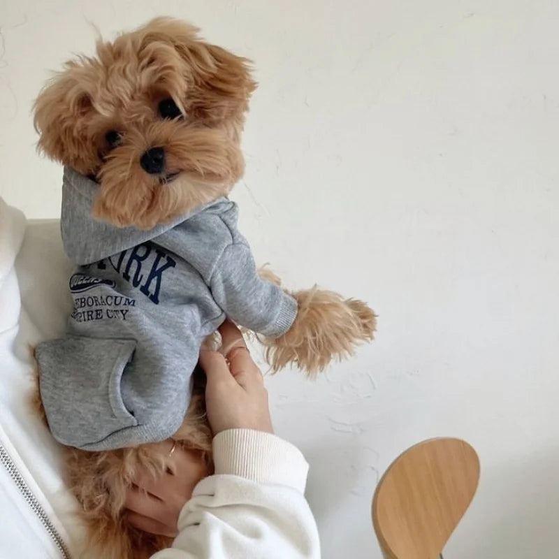 Autumn Warm Dog Hoodies Soft Plush Dog Clothes Letter Print Puppy Sweatshirts Fashion Cat Pullovers Pet Hoodies Poodle Outfits