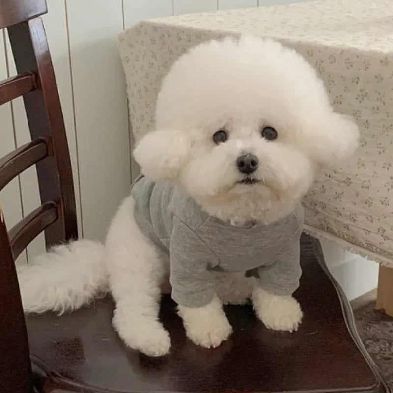 Autumn Warm Dog Hoodies Soft Plush Dog Clothes Letter Print Puppy Sweatshirts Fashion Cat Pullovers Pet Hoodies Poodle Outfits