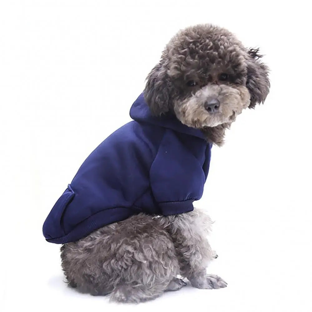 Puppy Pet Hooded Sweatshirt Autumn Winter Two-legged Pocket Cat Dog Clothes