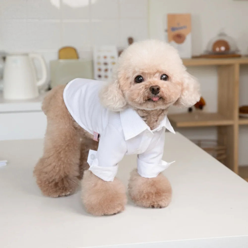 Pet Autumn Winter Striped Patchwork Denim Straps Dog Pants Cat Clothing Teddy Dog Clothing Pets Puppy Clothes Boy Dog Clothes