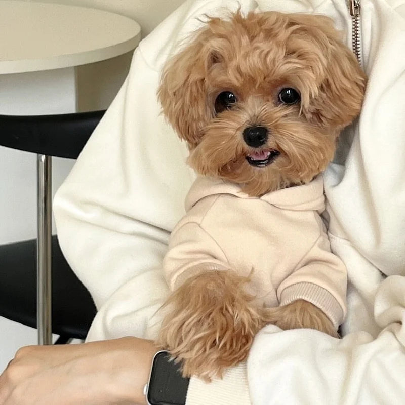 Autumn Warm Dog Hoodies Soft Plush Dog Clothes Letter Print Puppy Sweatshirts Fashion Cat Pullovers Pet Hoodies Poodle Outfits