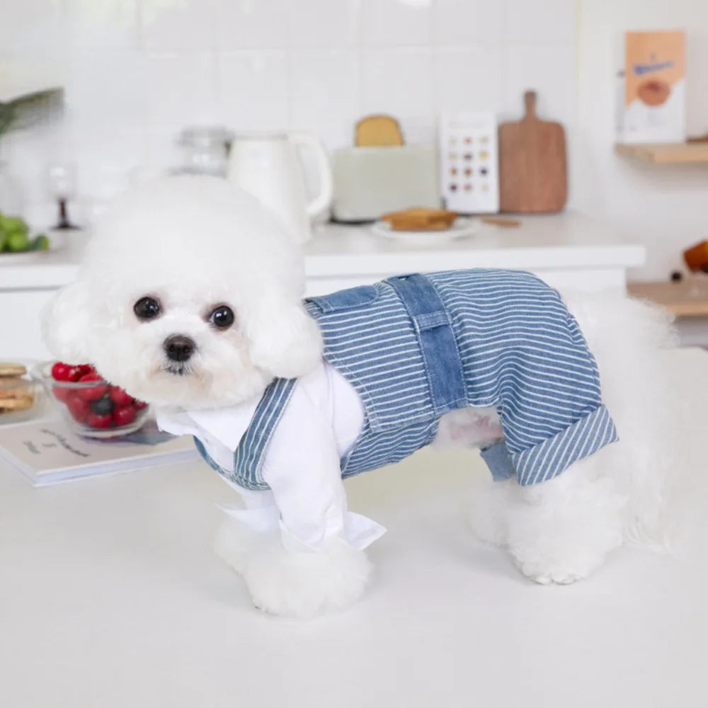 Pet Autumn Winter Striped Patchwork Denim Straps Dog Pants Cat Clothing Teddy Dog Clothing Pets Puppy Clothes Boy Dog Clothes