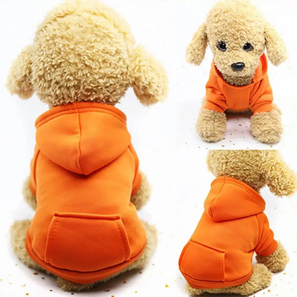 Puppy Pet Hooded Sweatshirt Autumn Winter Two-legged Pocket Cat Dog Clothes