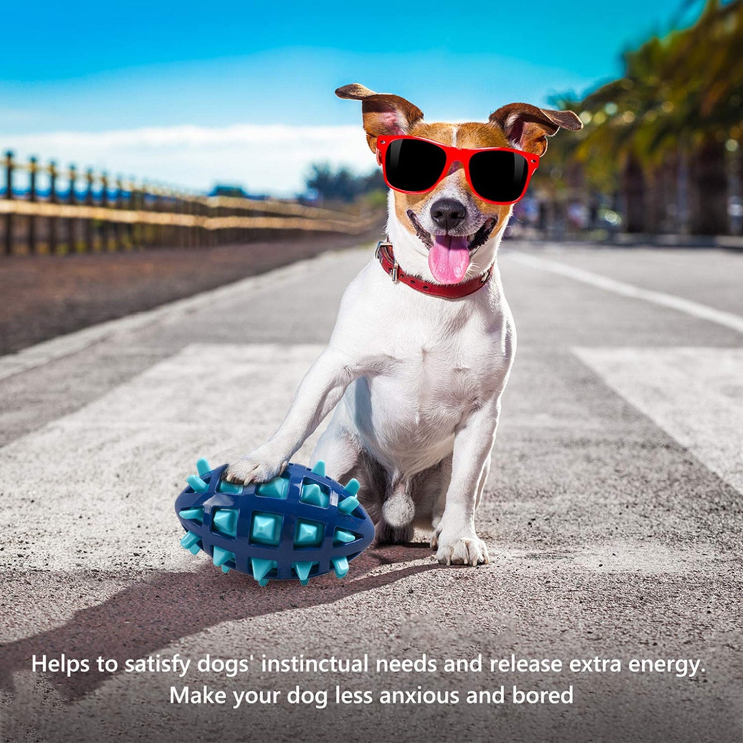 Squeaky Dog Toys For Aggressive Chewers Rubber Puppy Chew Ball With Squeaker, Almost Indestructible and Durable Pet Toy Dog toys