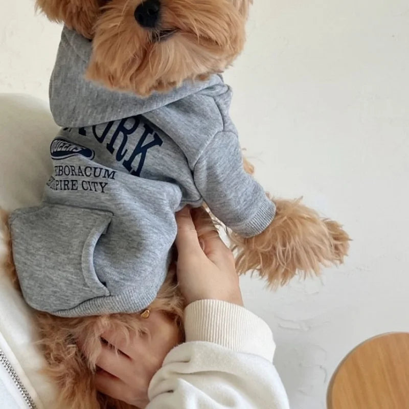 Autumn Warm Dog Hoodies Soft Plush Dog Clothes Letter Print Puppy Sweatshirts Fashion Cat Pullovers Pet Hoodies Poodle Outfits