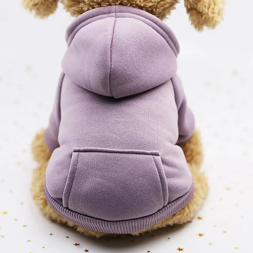 Puppy Pet Hooded Sweatshirt Autumn Winter Two-legged Pocket Cat Dog Clothes
