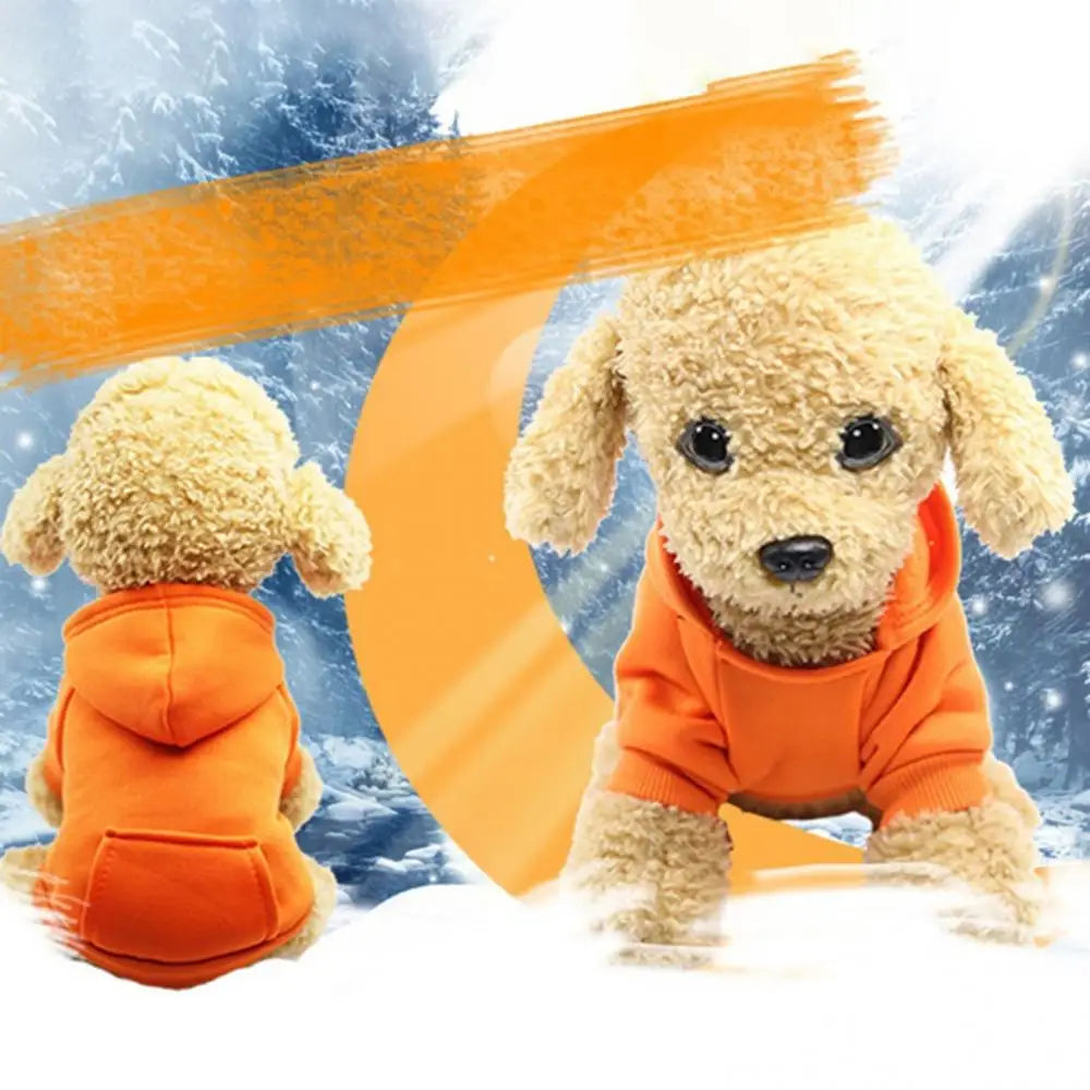 Puppy Pet Hooded Sweatshirt Autumn Winter Two-legged Pocket Cat Dog Clothes