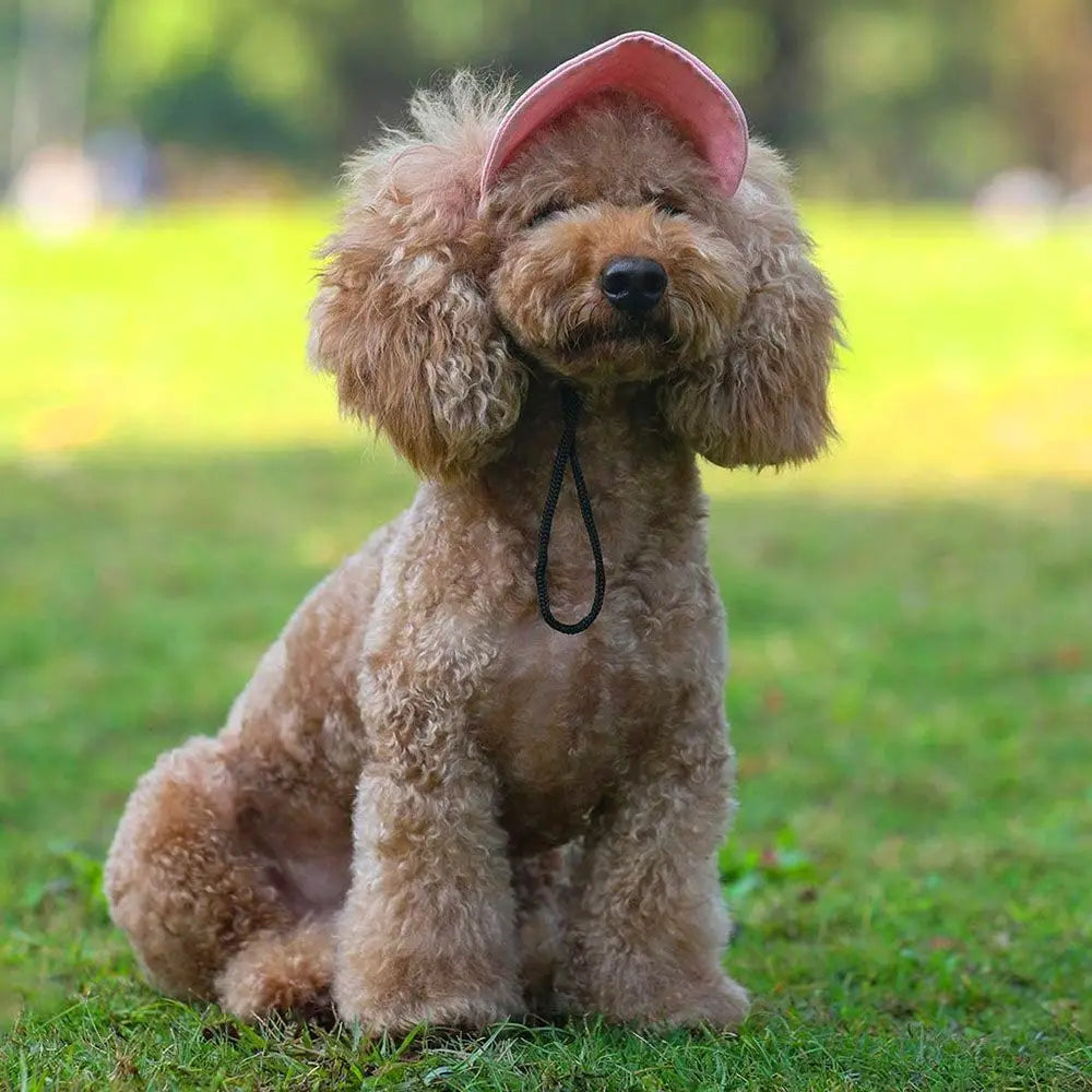 Pet Baseball Hat Cat Dog Visor Hat Adjustable Sun Cap  Summer Outdoor Sports Travel Sun Protection Hat With Ear Holes
